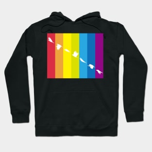 Rainbow Flag Hoodie